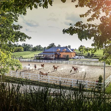 Hotel Horse Riding - Jezdecky Areal Tršice Eksteriør billede