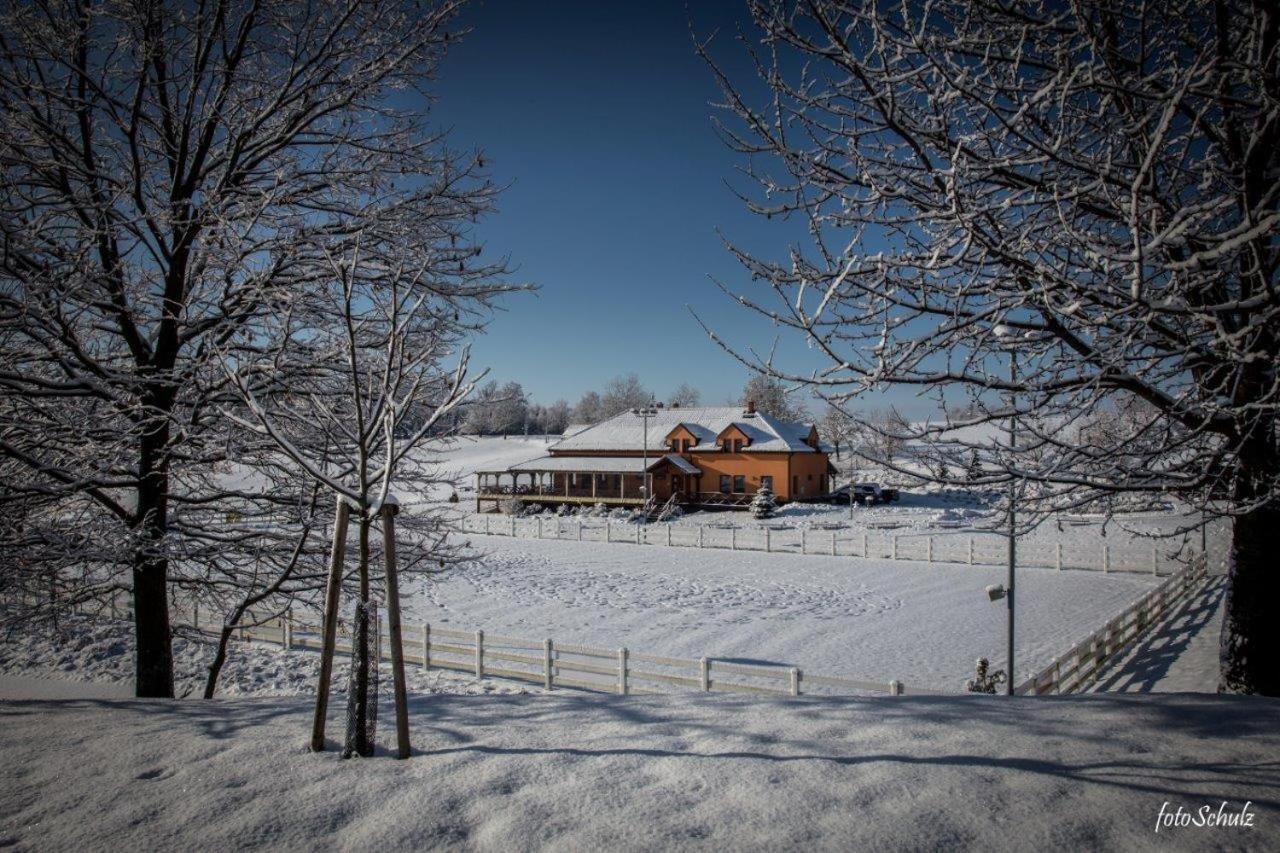 Hotel Horse Riding - Jezdecky Areal Tršice Eksteriør billede