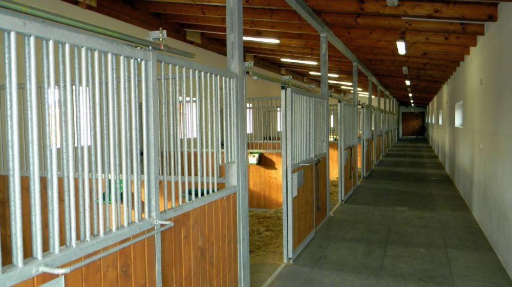 Hotel Horse Riding - Jezdecky Areal Tršice Eksteriør billede