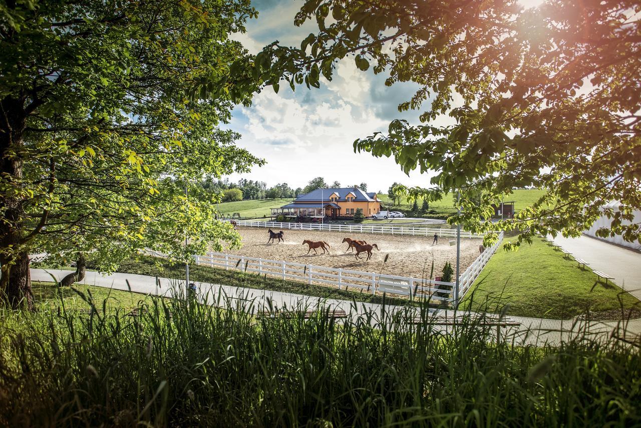 Hotel Horse Riding - Jezdecky Areal Tršice Eksteriør billede