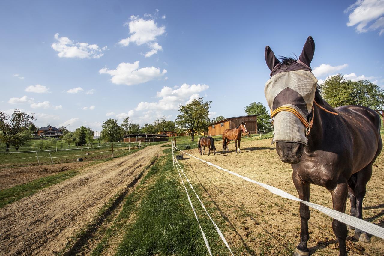 Hotel Horse Riding - Jezdecky Areal Tršice Eksteriør billede