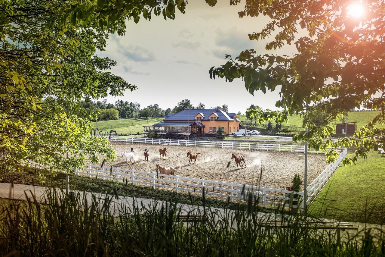Hotel Horse Riding - Jezdecky Areal Tršice Eksteriør billede