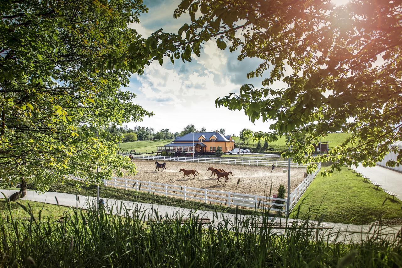 Hotel Horse Riding - Jezdecky Areal Tršice Eksteriør billede
