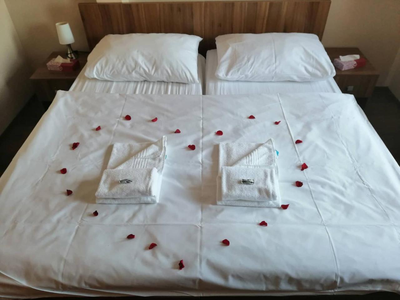 Hotel Horse Riding - Jezdecky Areal Tršice Eksteriør billede